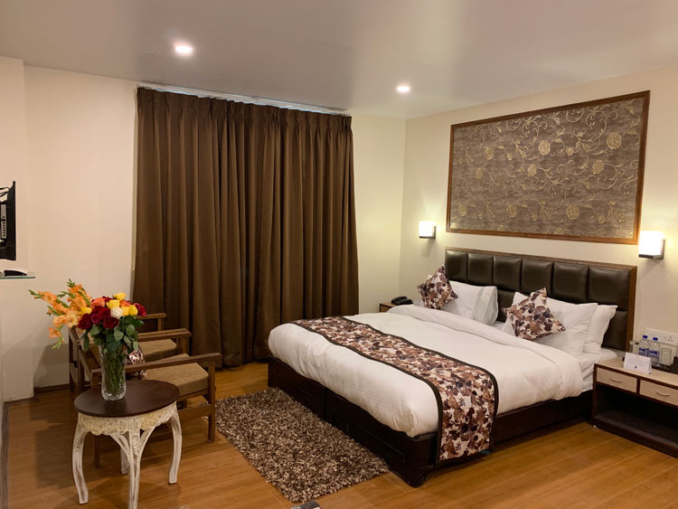 Standard Rooms - The Hotel Aryan Regency